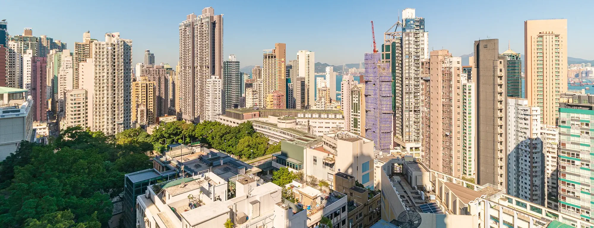 Sai Ying Pun