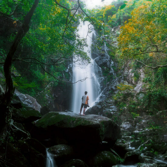 Waterfall Hikes in Hong Kong | Nest Property