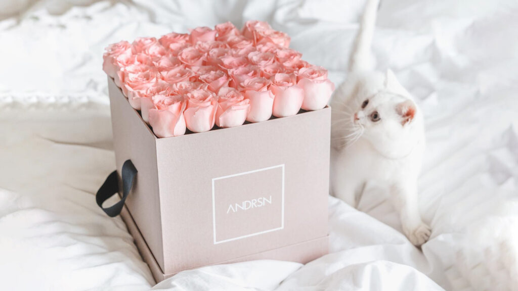 Square bouquet of light pink roses in a square dusty pink coloured box, sitting on a white bed with a white kitten looking at the flowers.