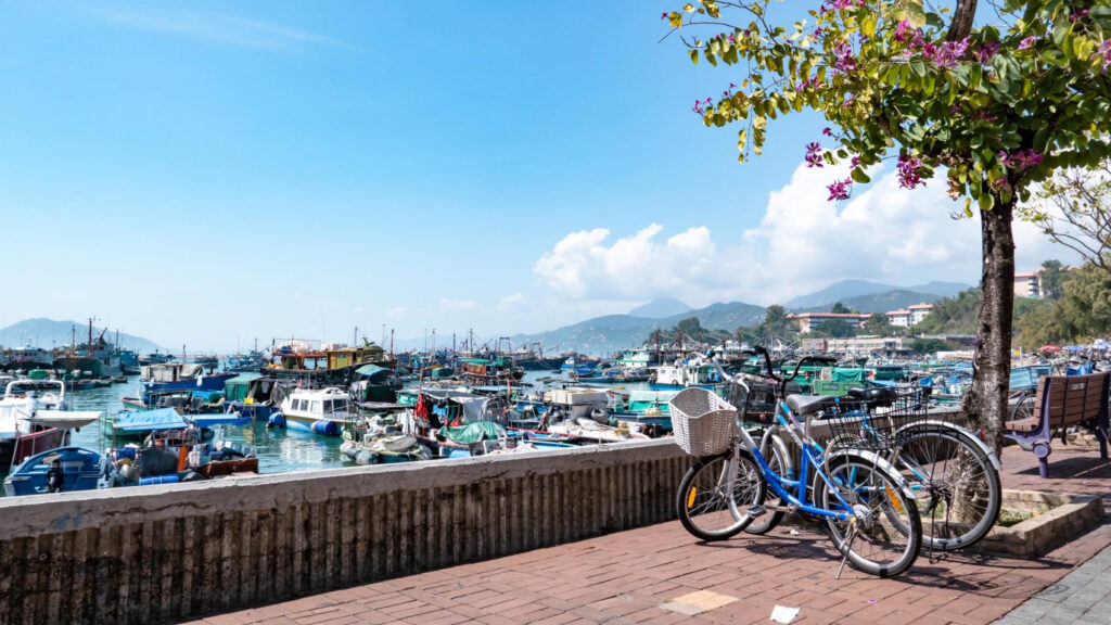 Bicycles standing by a tree with pink flowers overlooking Cheung Chau harbour with fishing boats.